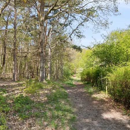 A Peaceful Oasis Near The And Forest * Hundested