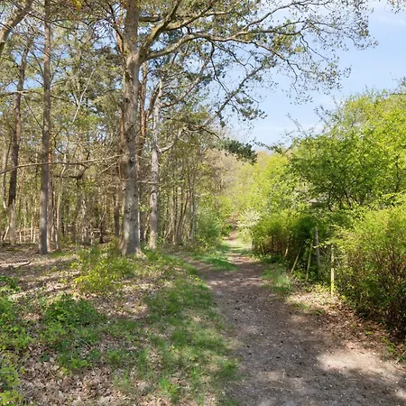 A Peaceful Oasis Near The And Forest * Hundested