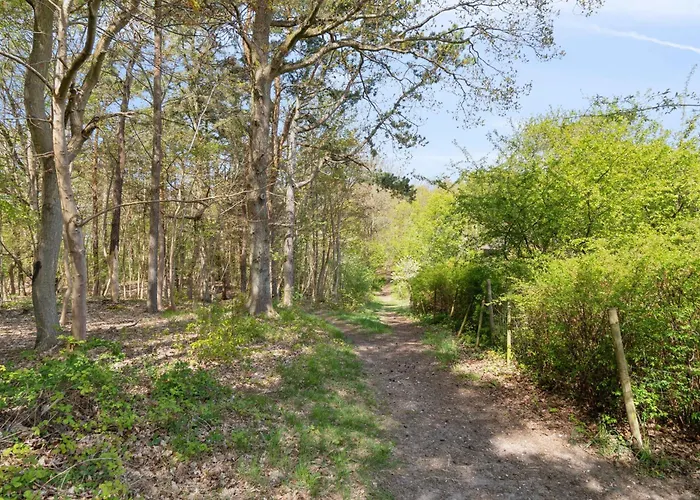 A Peaceful Oasis Near The And Forest * Hundested